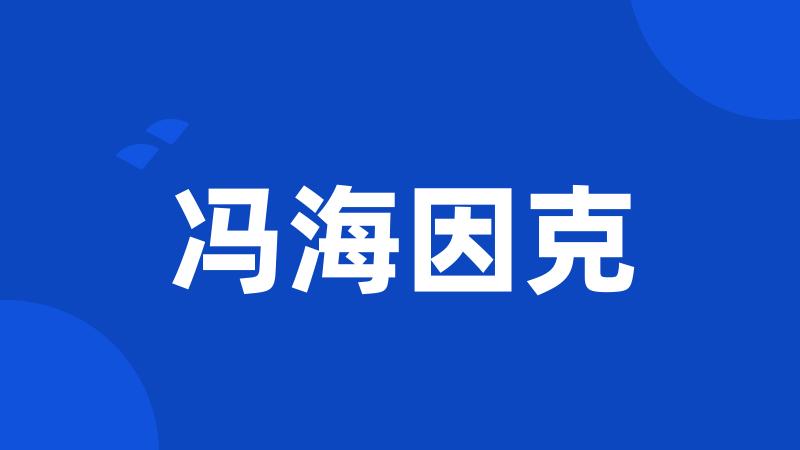冯海因克