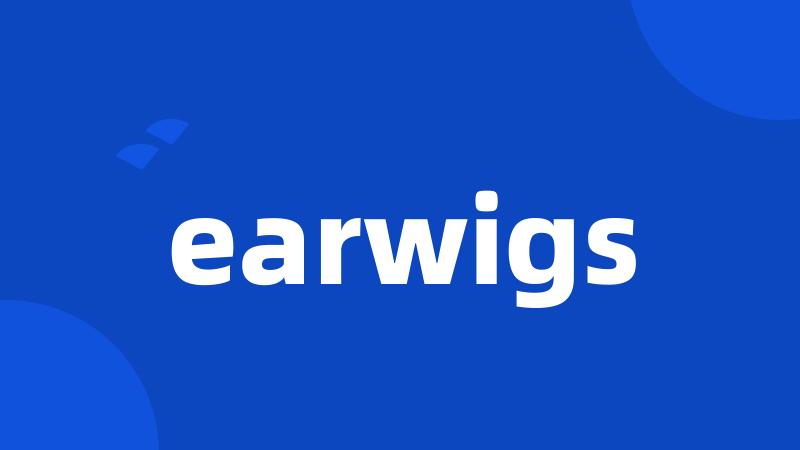 earwigs