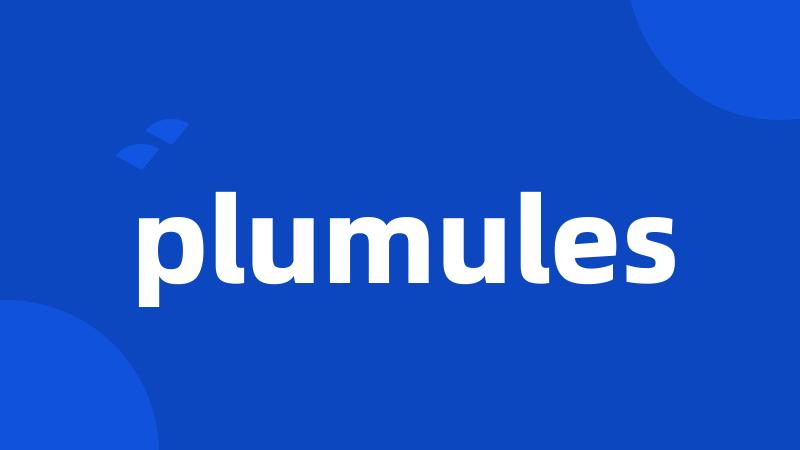 plumules