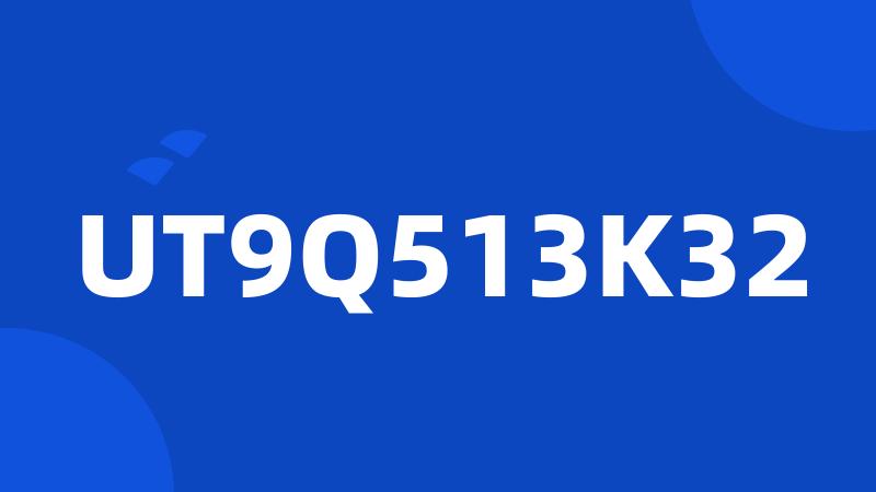 UT9Q513K32