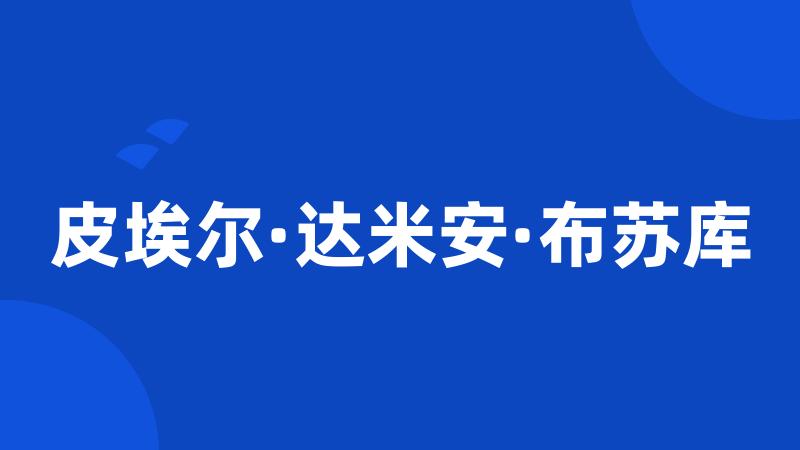 皮埃尔·达米安·布苏库