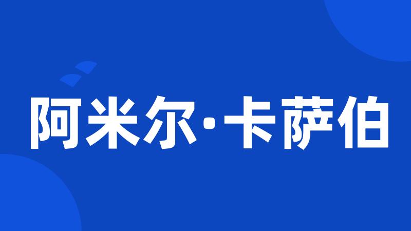 阿米尔·卡萨伯