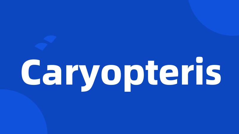 Caryopteris