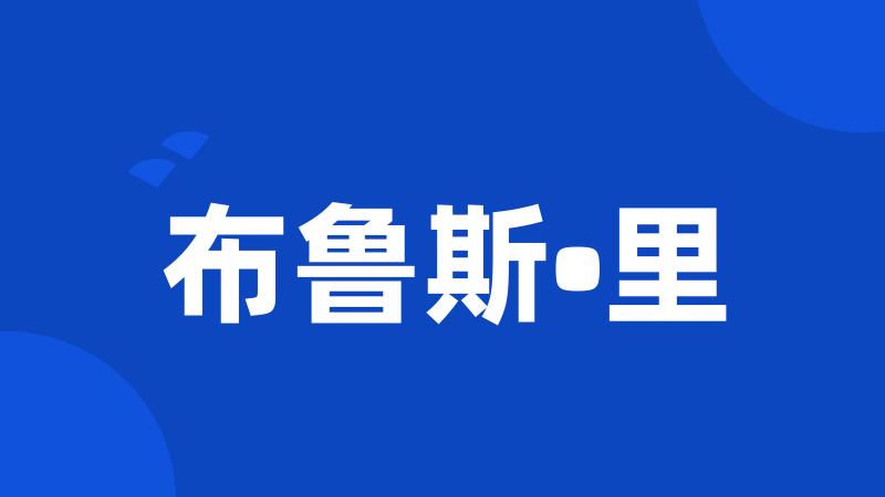 布鲁斯•里