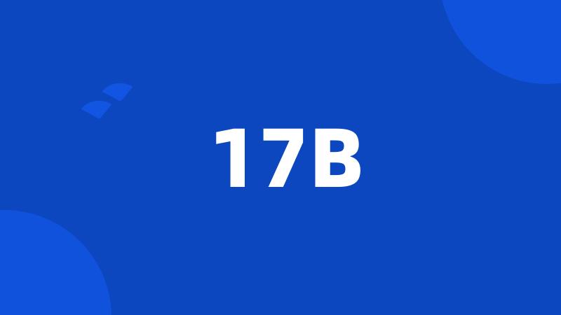 17B