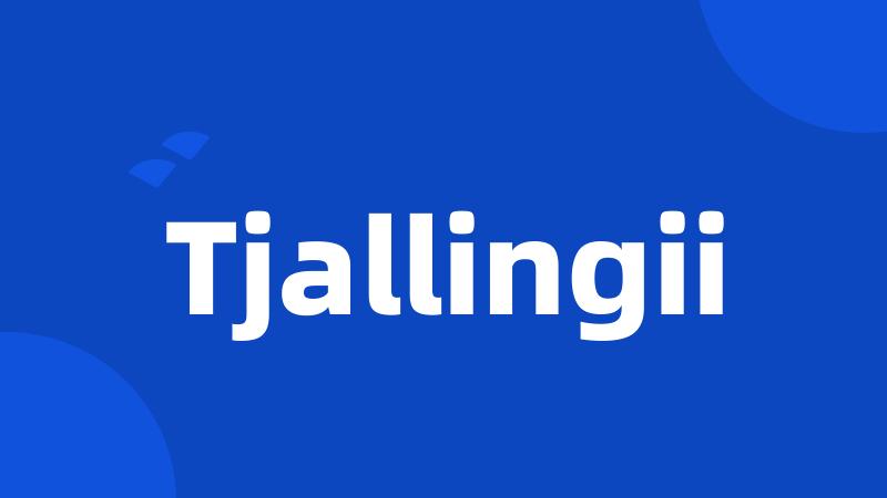 Tjallingii