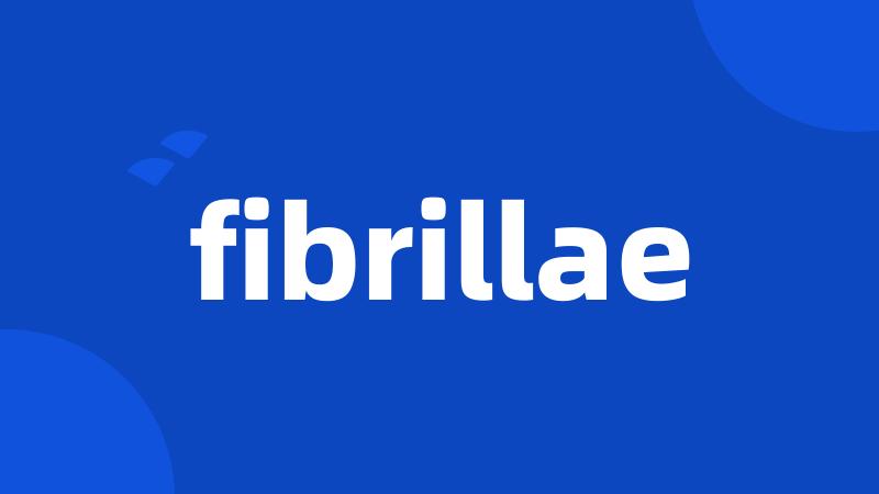 fibrillae