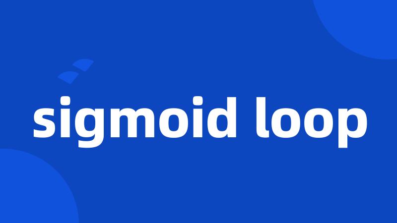 sigmoid loop