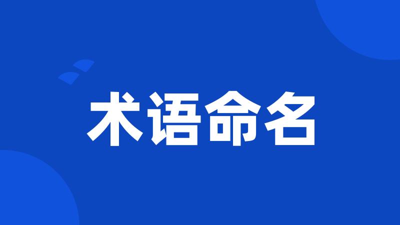 术语命名