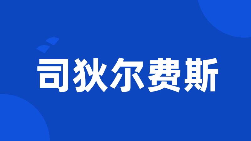 司狄尔费斯