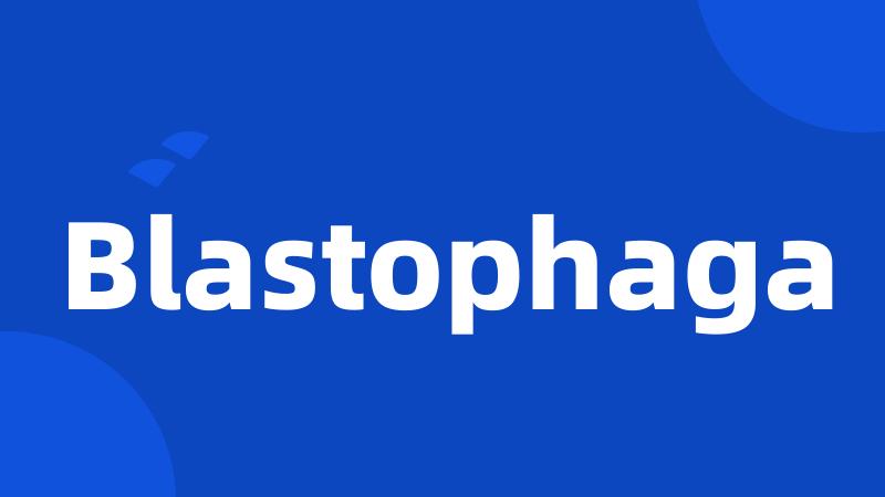 Blastophaga
