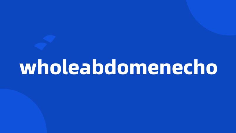 wholeabdomenecho