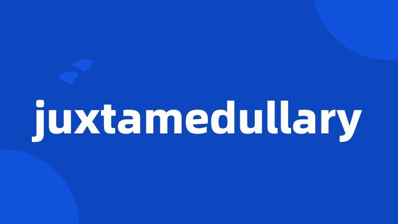 juxtamedullary