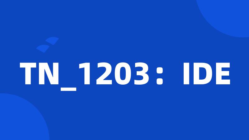 TN_1203：IDE