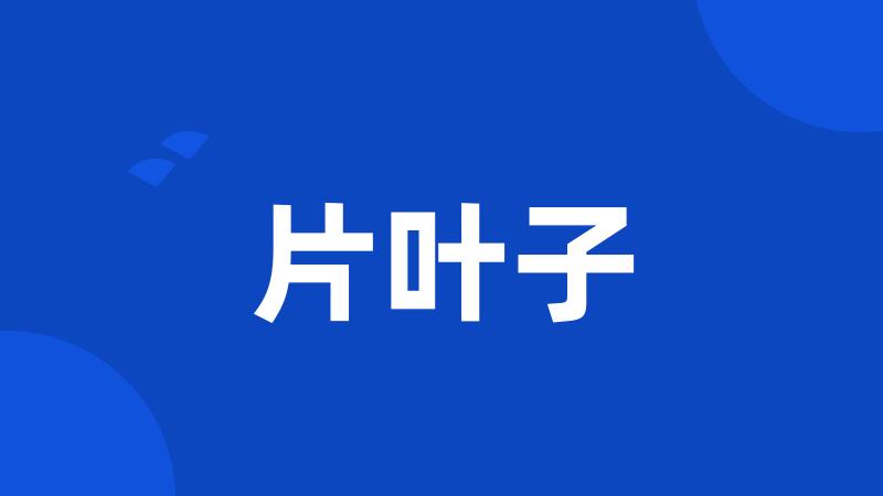 片叶子