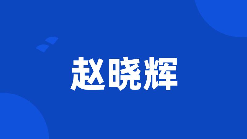 赵晓辉