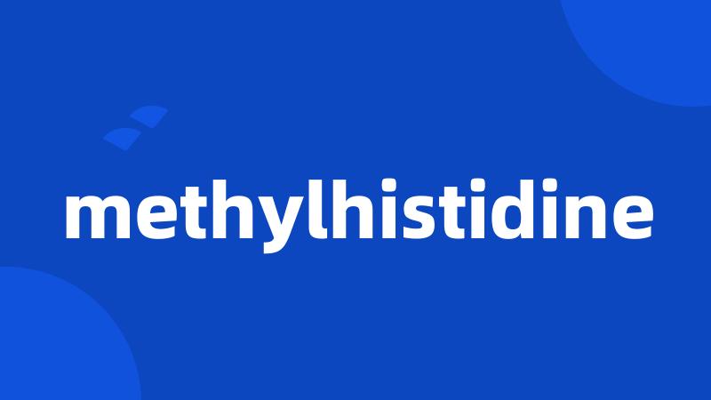 methylhistidine