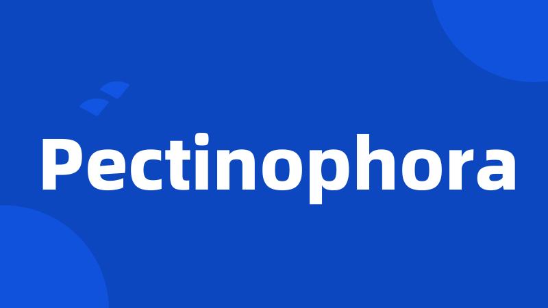 Pectinophora