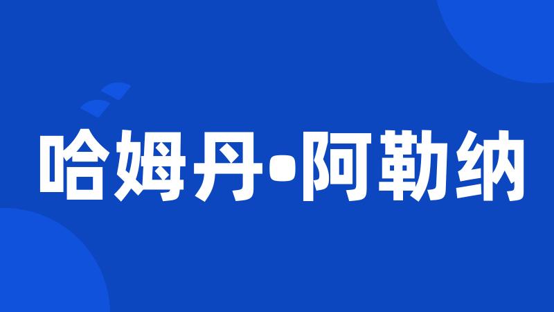 哈姆丹•阿勒纳