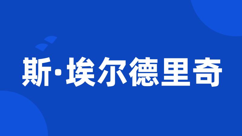 斯·埃尔德里奇