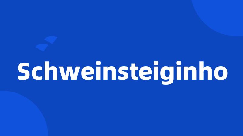 Schweinsteiginho