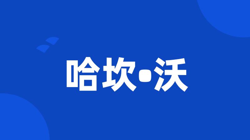 哈坎•沃