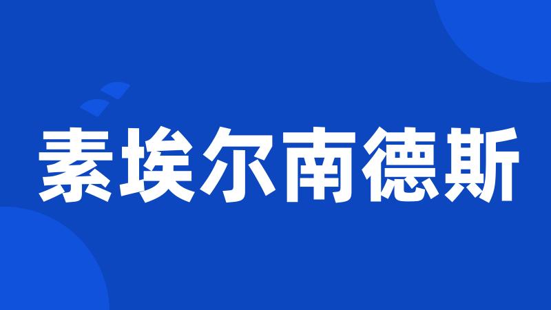 素埃尔南德斯