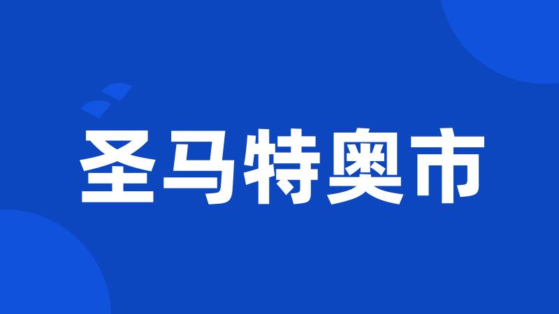圣马特奥市