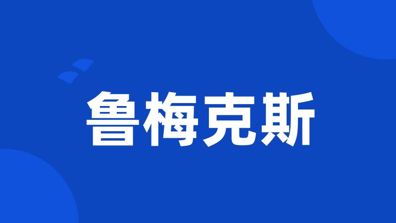 鲁梅克斯