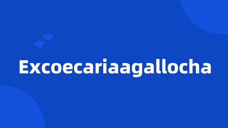 Excoecariaagallocha