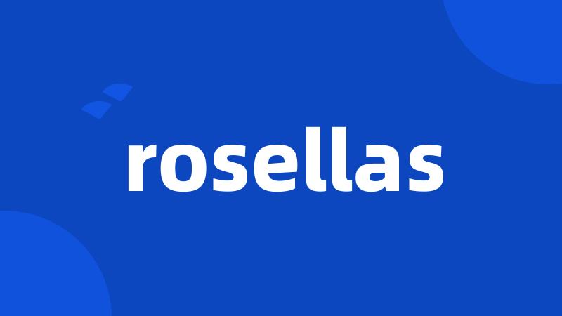 rosellas