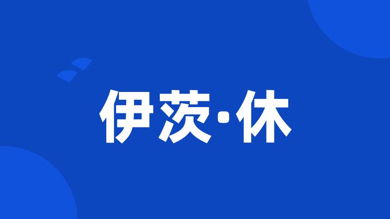 伊茨·休