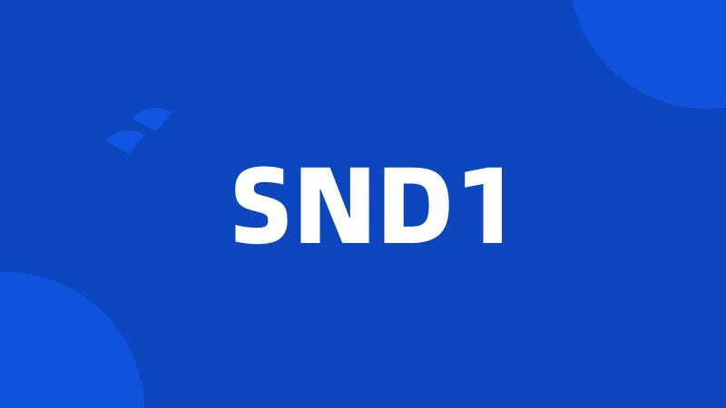 SND1