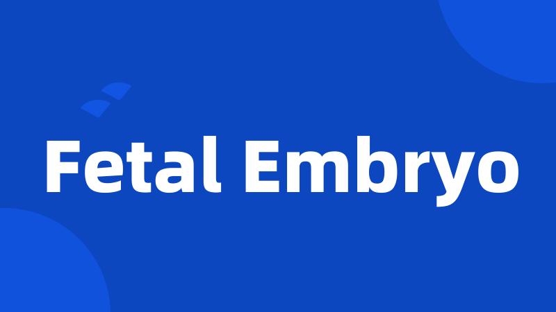 Fetal Embryo