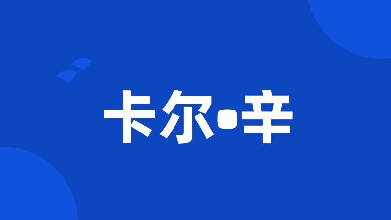 卡尔•辛