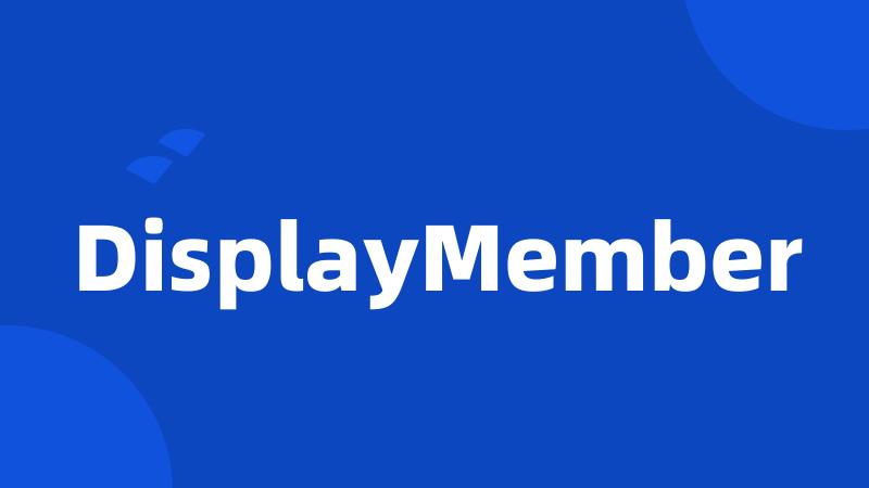 DisplayMember