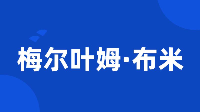 梅尔叶姆·布米