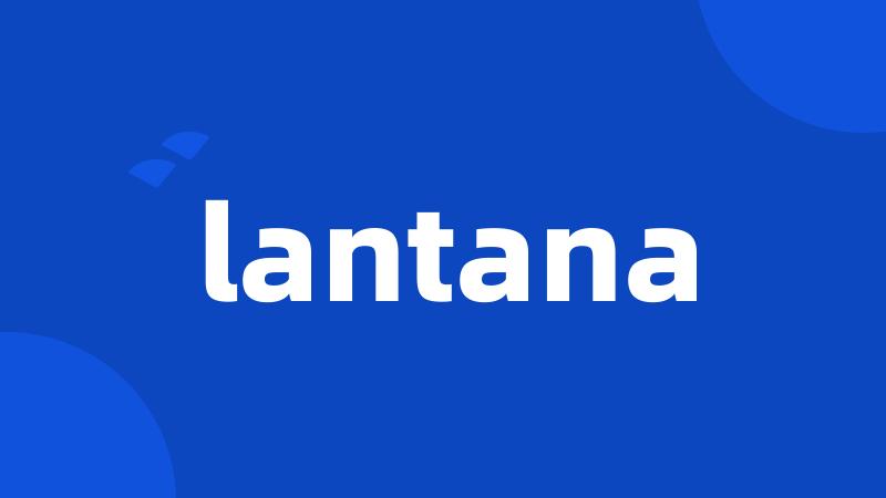 lantana