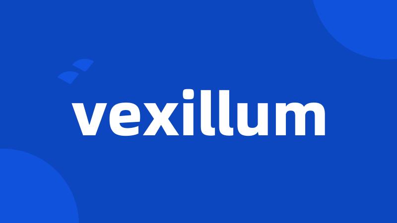 vexillum