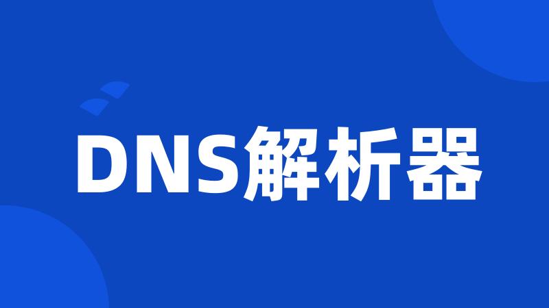 DNS解析器