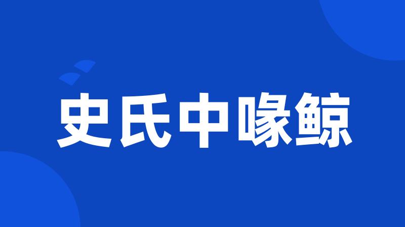 史氏中喙鲸