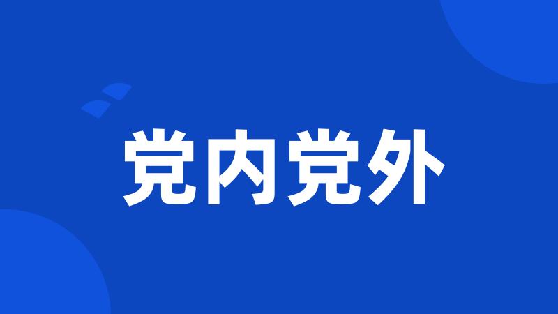 党内党外