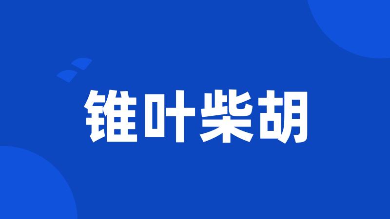 锥叶柴胡