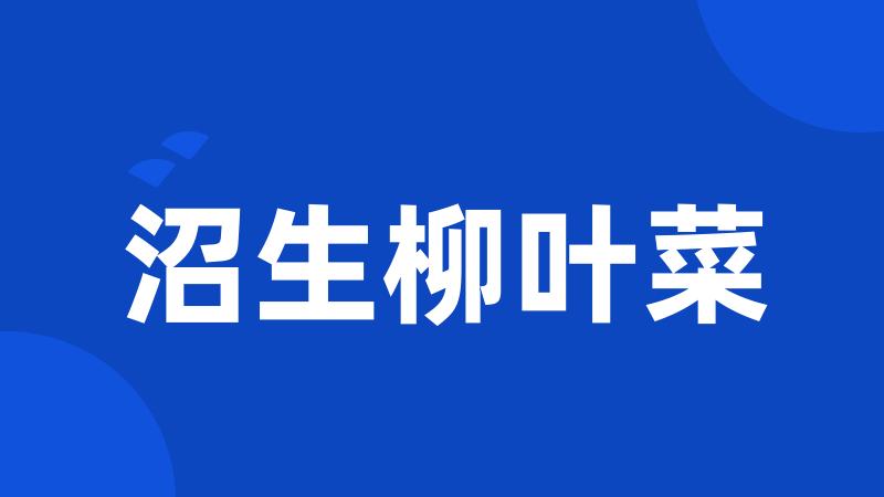 沼生柳叶菜