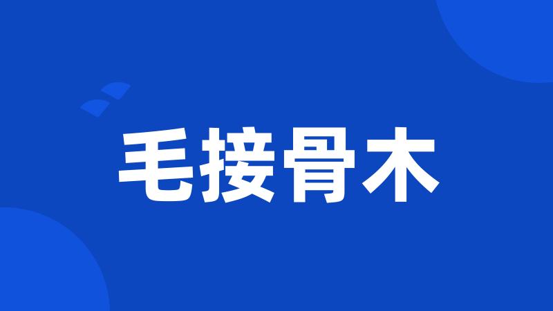 毛接骨木