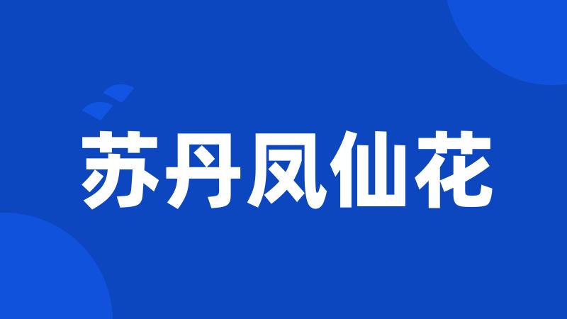 苏丹凤仙花