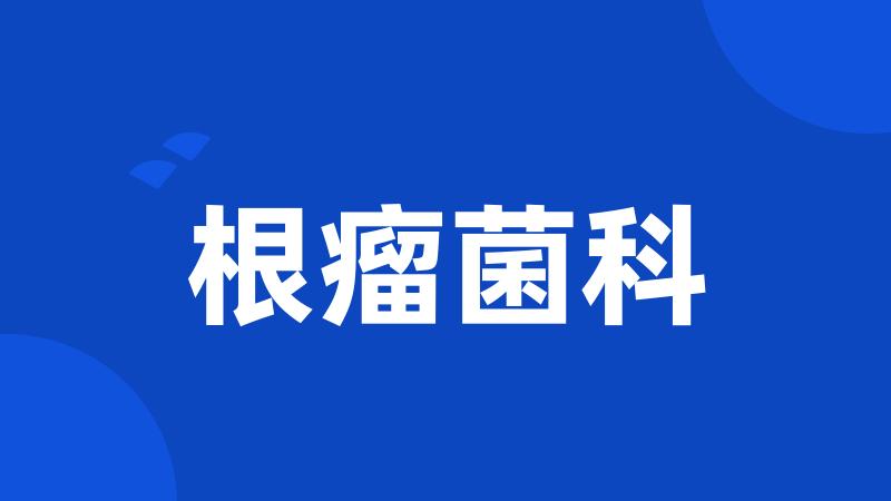 根瘤菌科