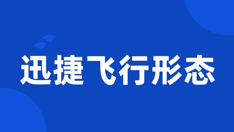 迅捷飞行形态