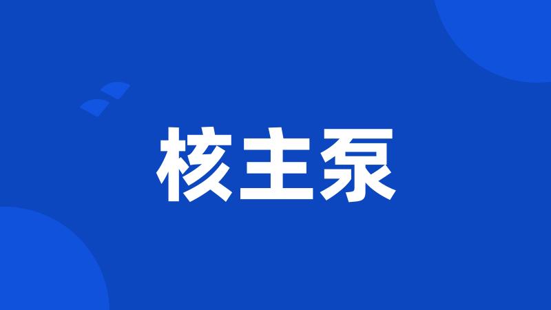 核主泵