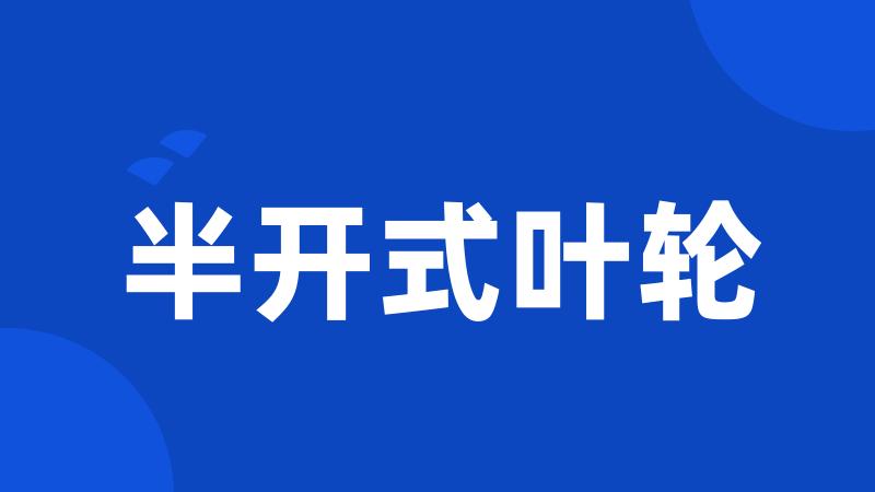 半开式叶轮